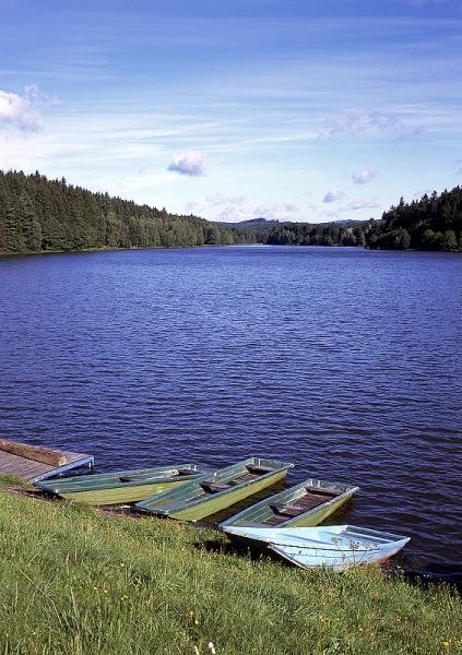 Domaninský rybník