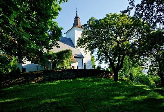 Mouřenec