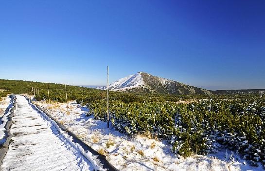Sněžka 1602m n.m.