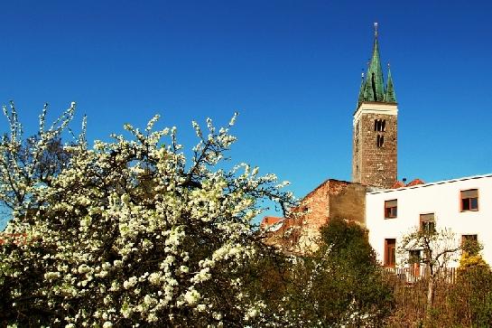 Jarní pohled na věž kostela sv Ducha