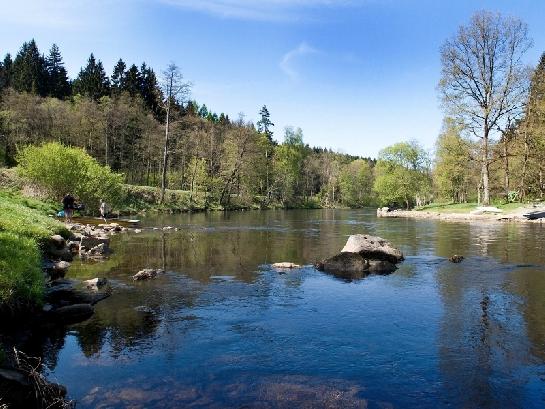 Vltava před Rožmberkem