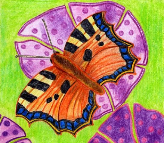 Motýlek 2