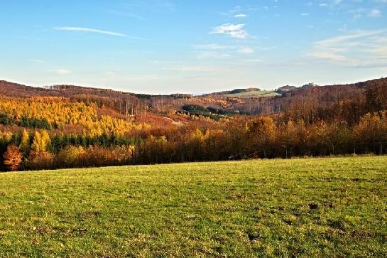Od Buchlova