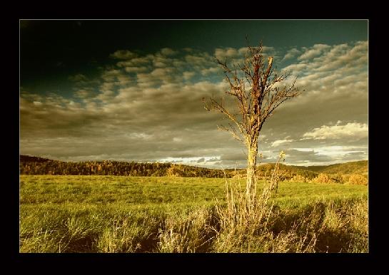 Česká krajina navečer