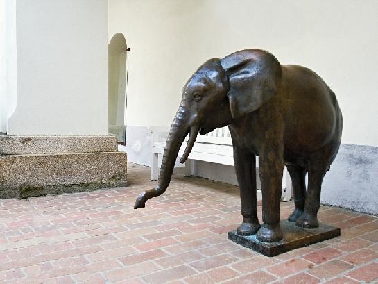 Na nádvoří slon