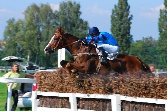 dostihy Pardubice