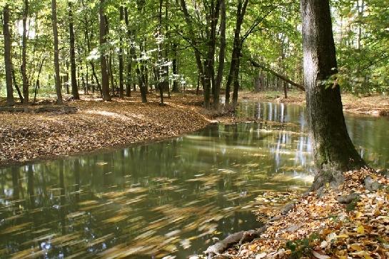CHKO Poodří Lesní řeka u Studénky