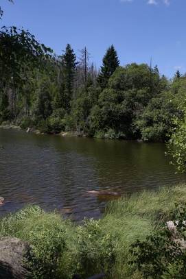 Plešné jezero - Šumava