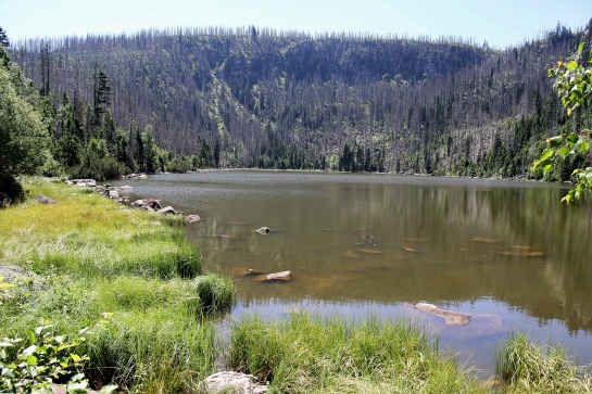 Plešné jezero III. - Šumava