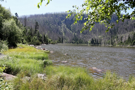 Plešné jezero II. - Šumava