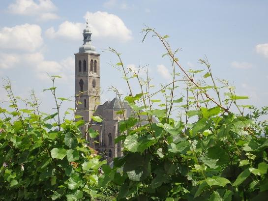 Kutná Hora kostel sv.Jakuba s vinohradem