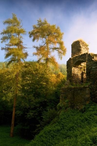 Krašov
