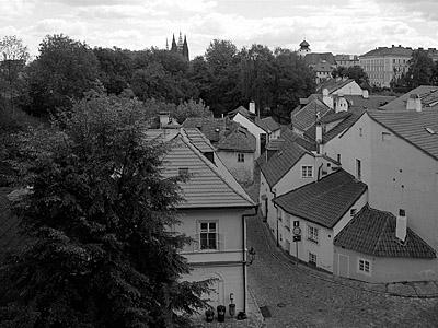 Nový svět