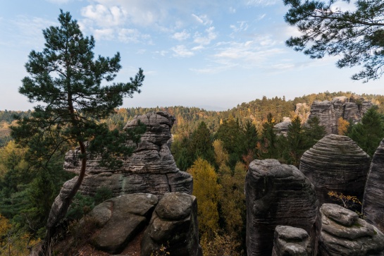 Prachovské skály z Pechovy vyhlídky II