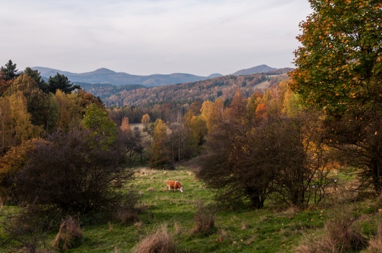 Podzim v Lužických horách V