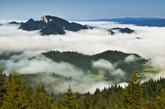 tři koruny