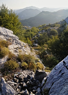  Hornatá krajina Černé Hory