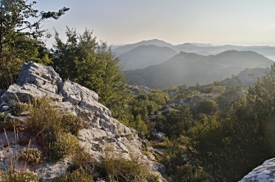 Nádherná krajina v Njeguši - Černá Hora