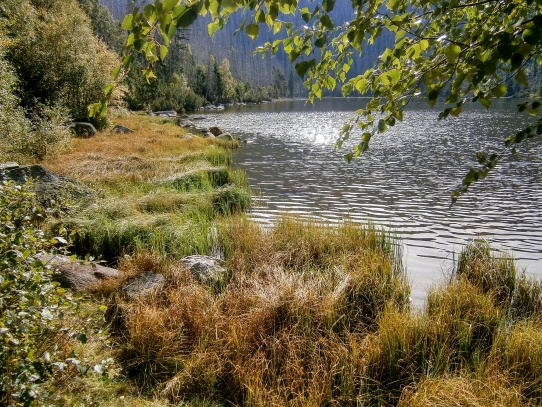 Plechý a Plešné jezero