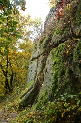 Hřídelík