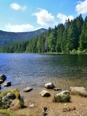 Velké javorské jezero -Großer Arbersee