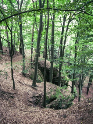 Kokořínský důl