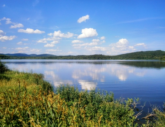Olšina