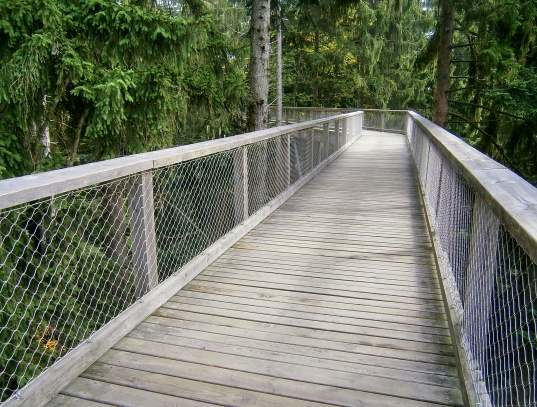 Neuschönau