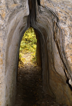 Hřídelík