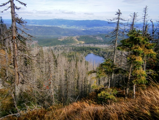Plechý a Plešné jezero