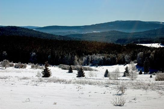 Skelná