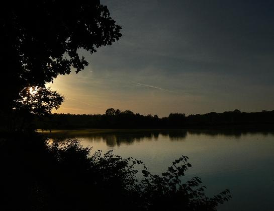 Poodří
