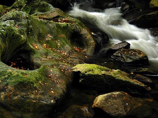 Oči a nos řeky Vydry