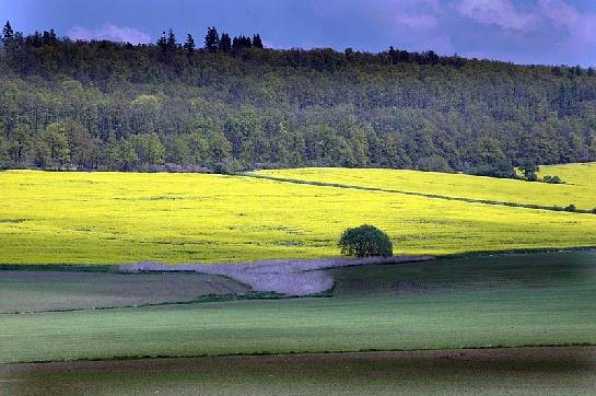 Krajina česká