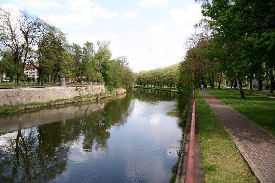 Orlice