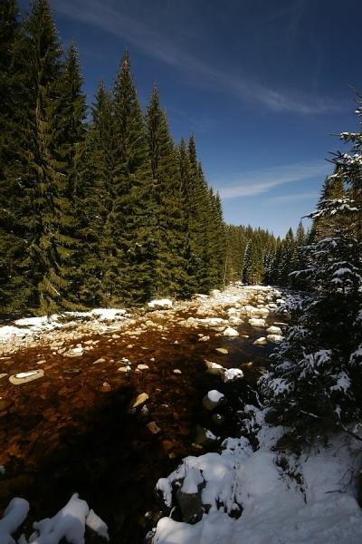 Vydra nad Antýglem