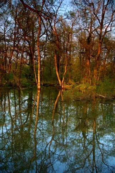 Novořecká blata