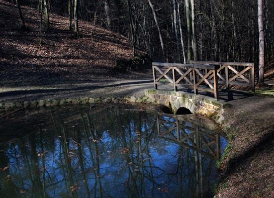jezírko park Cibulka