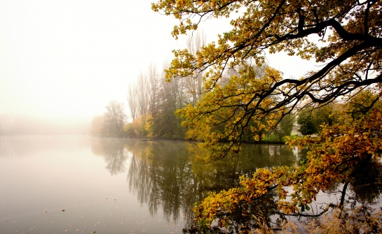 Zámecký rybník u Chocomyšle
