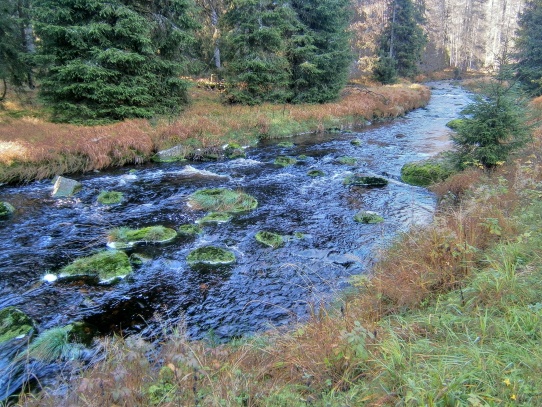 Modravský potok