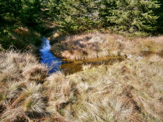 Cikánská slať 