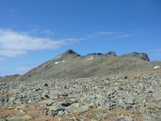Tupá