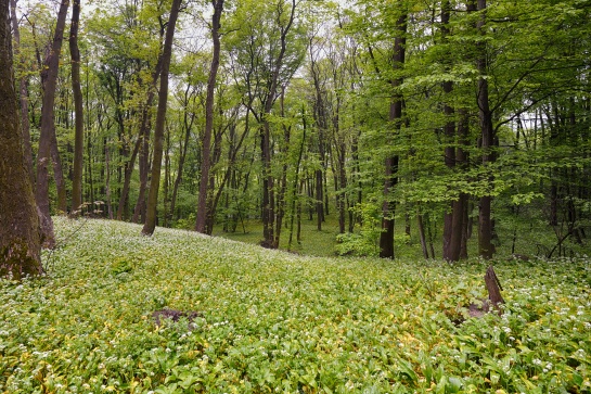 Těšínsko, Třinecko, Jablunkovsko