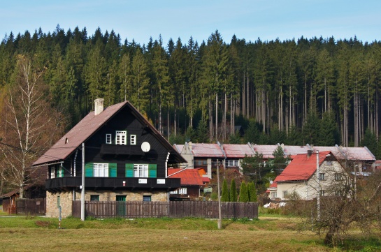 Bílá