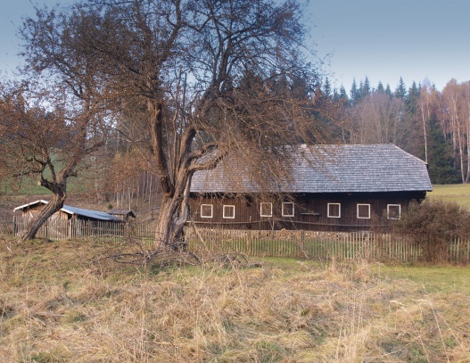 Puchingrův Dvůr u Jelenova  (Buchingerhof)