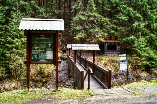 Bílá