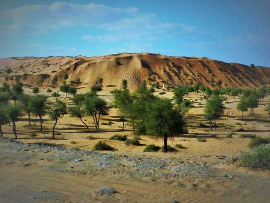 Písečné duny v Ras Al Khaimah