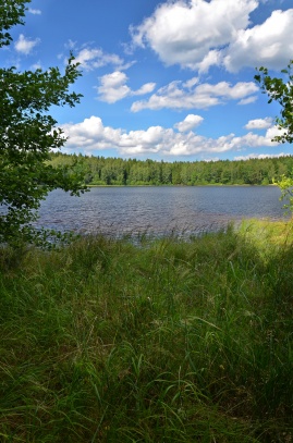 Brdy , jezero Octárna 