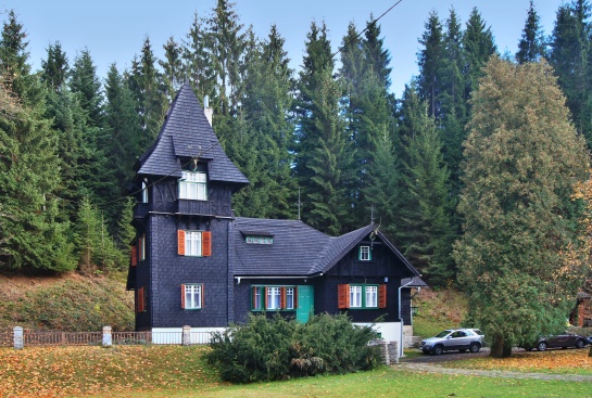 Bílá