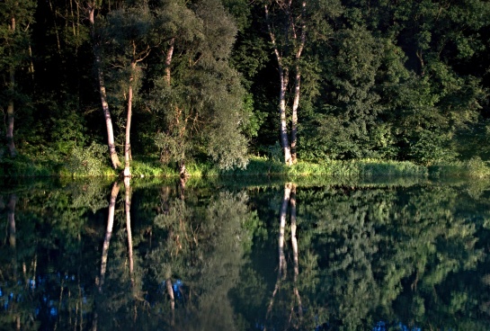 Dolní Poohří